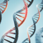 Three DNA molecules over light blue background.